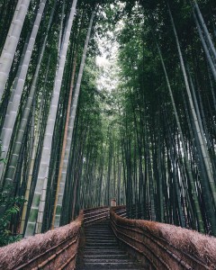 Everyday Street Photography by Takashi Yasui