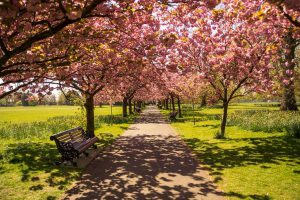 Park in London, England