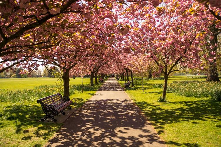 Park in London, England